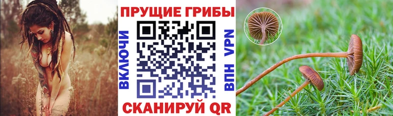 Галлюциногенные грибы GOLDEN TEACHER  Новоаннинский 